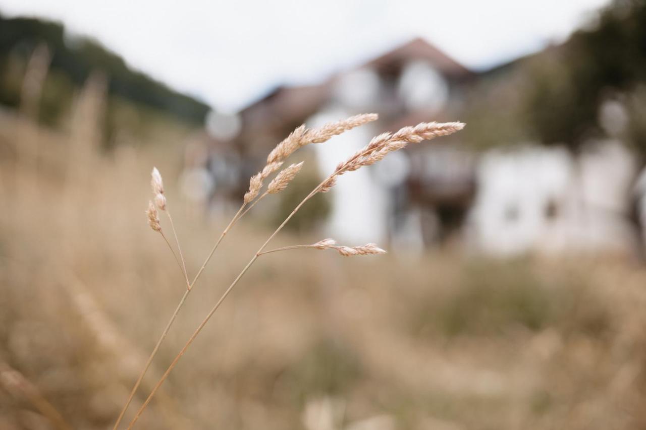 Winter-Nest Todtnau Exterior foto